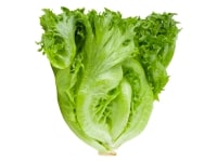 Sharable content-based parallelism-29